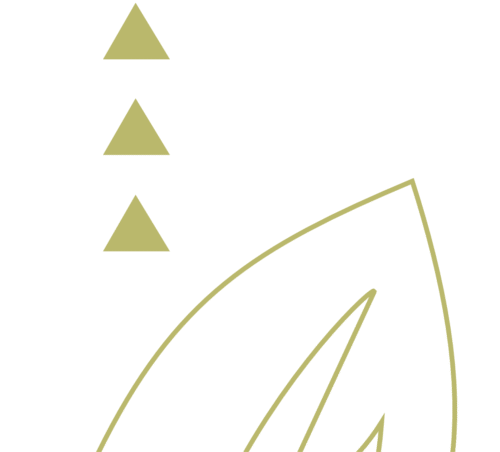 shape